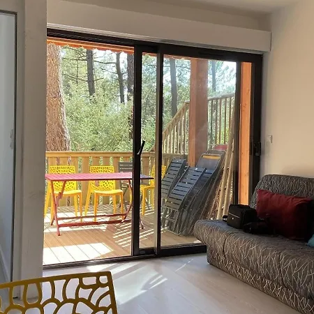 Chalet Carcans-maubuisson, 4 Pieces, 6 Personnes - Fr-1-648-150 Chalet *