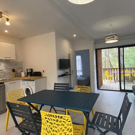 Chalet Carcans-maubuisson, 4 Pieces, 6 Personnes - Fr-1-648-150 Chalet *